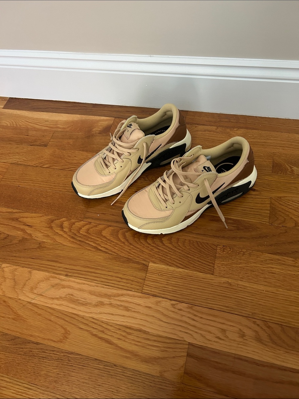 Brand new Nike air max